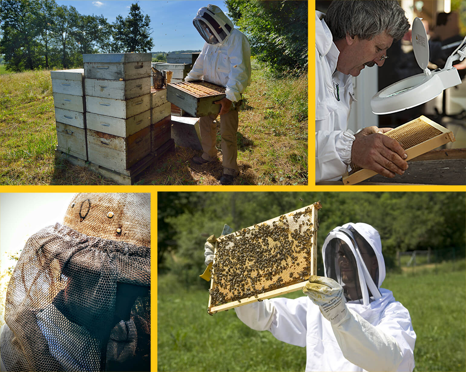 Les apiculteurs