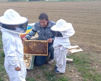 Voyage des ruches