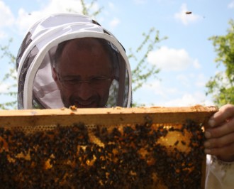 Visite des ruchers