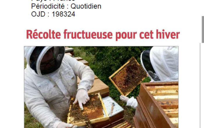 Dans le Loiret, ils partagent la passion du miel et des abeilles